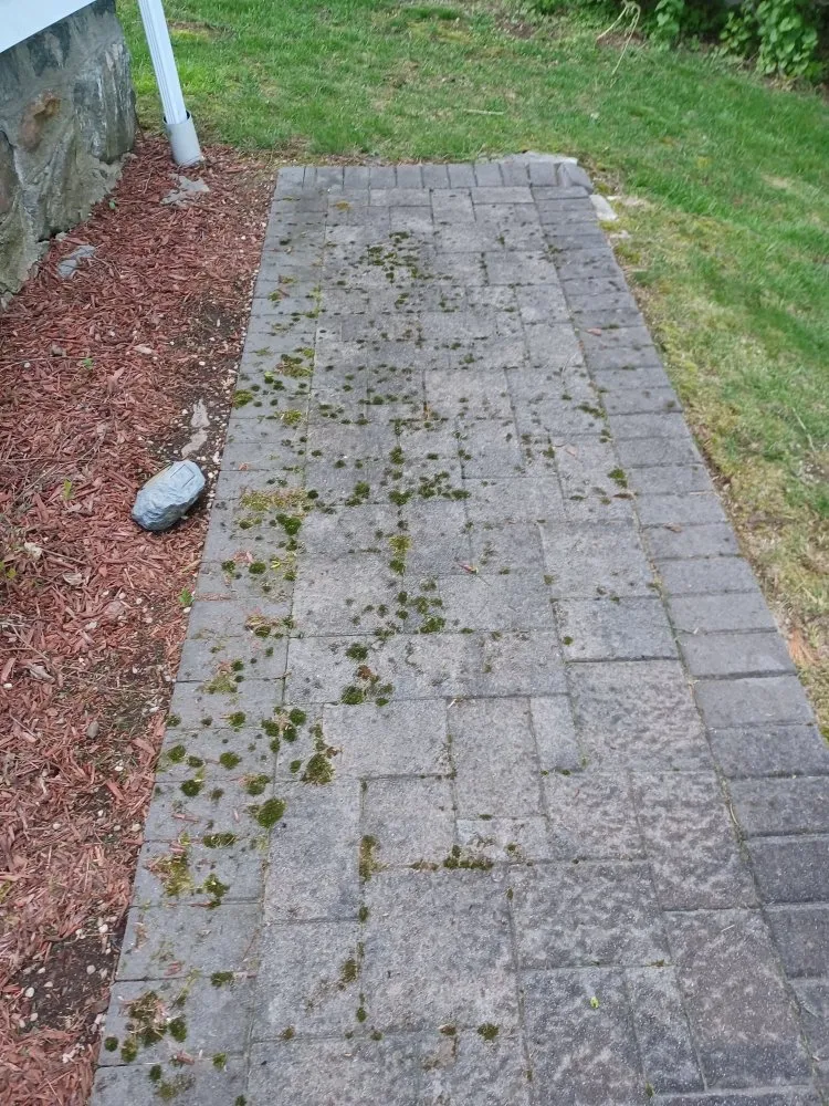 Trusted outdoor landscaping for homes in Waterbury, CT by Only Solutions