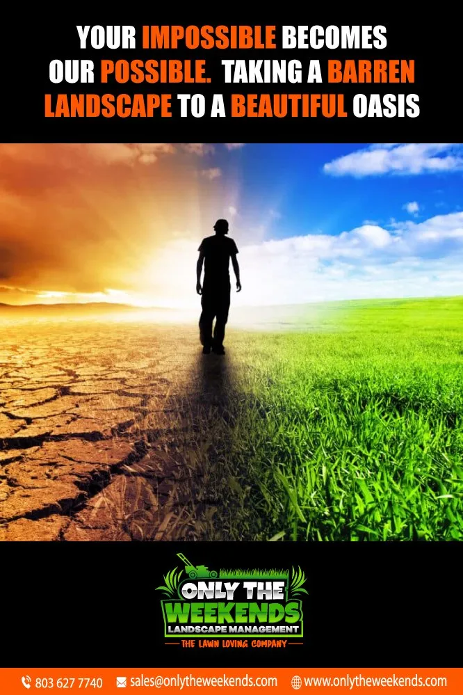 Expert yard cleanup service for beautiful yards across Rock Hill, SC - Only The Weekends