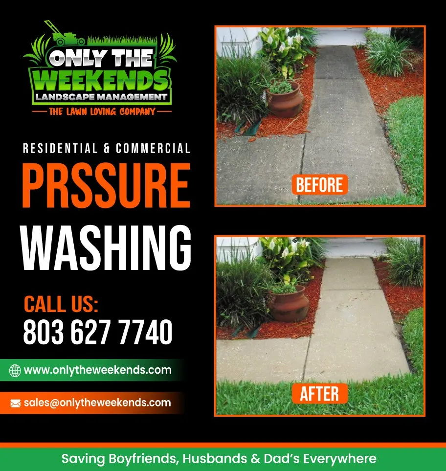 Top-rated yard maintenance for outdoor upgrades in Rock Hill, SC by Only The Weekends