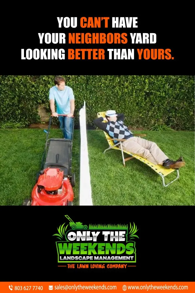 Professional landscaping services near you across Rock Hill, SC - Only The Weekends