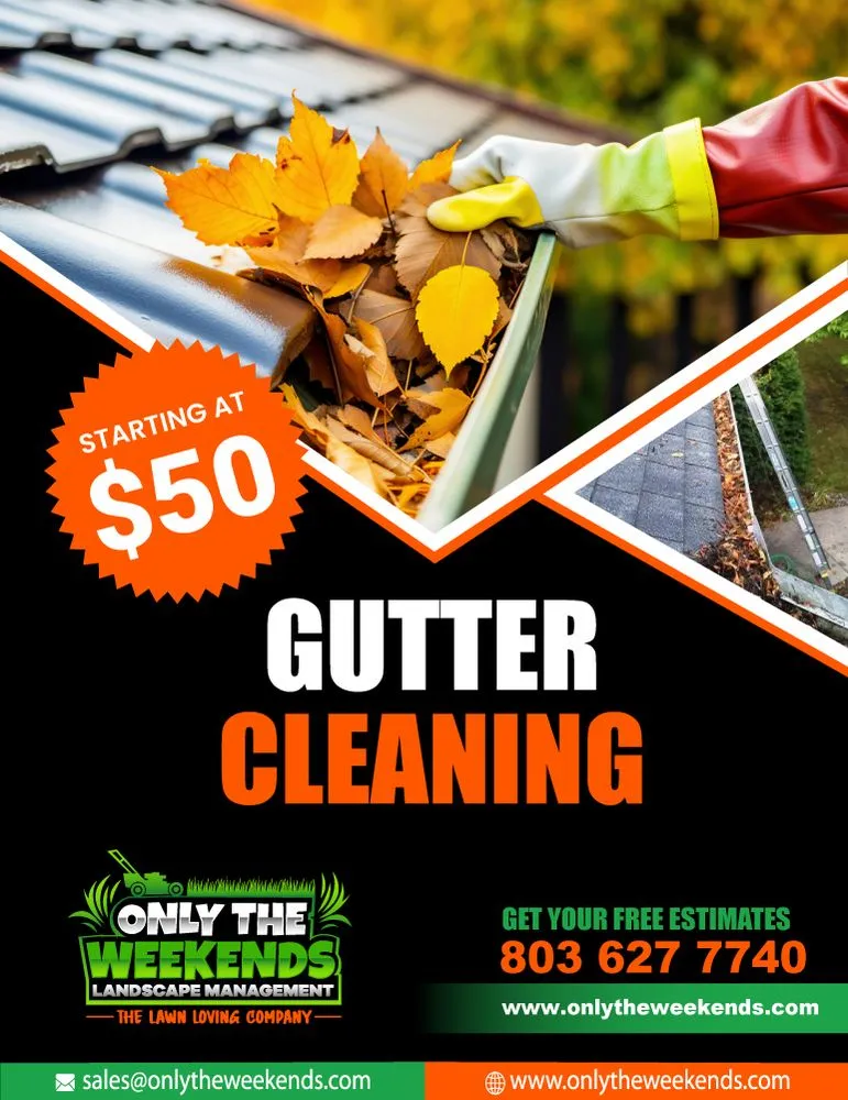 Professional landscape installation in Rock Hill, SC by Only The Weekends