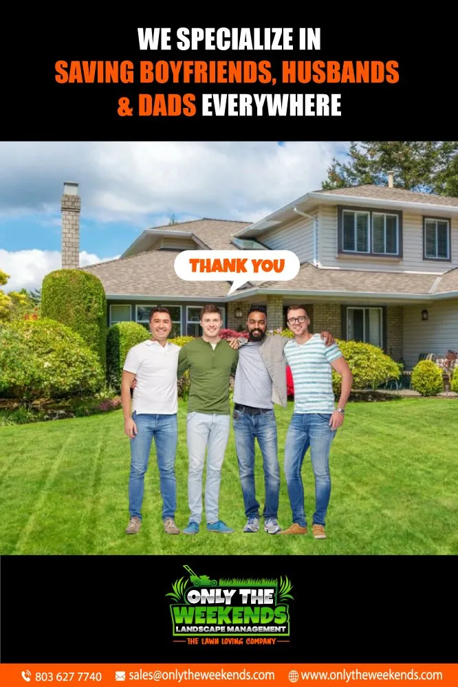 Affordable outdoor landscaping for year-round maintenance in Rock Hill, SC by Only The Weekends