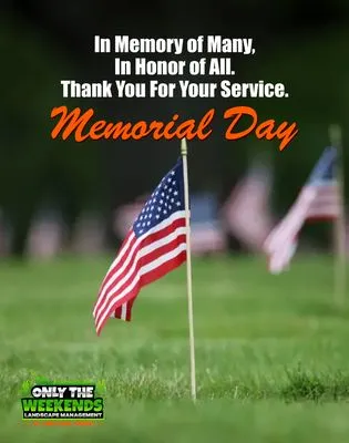 Only The Weekends Logo