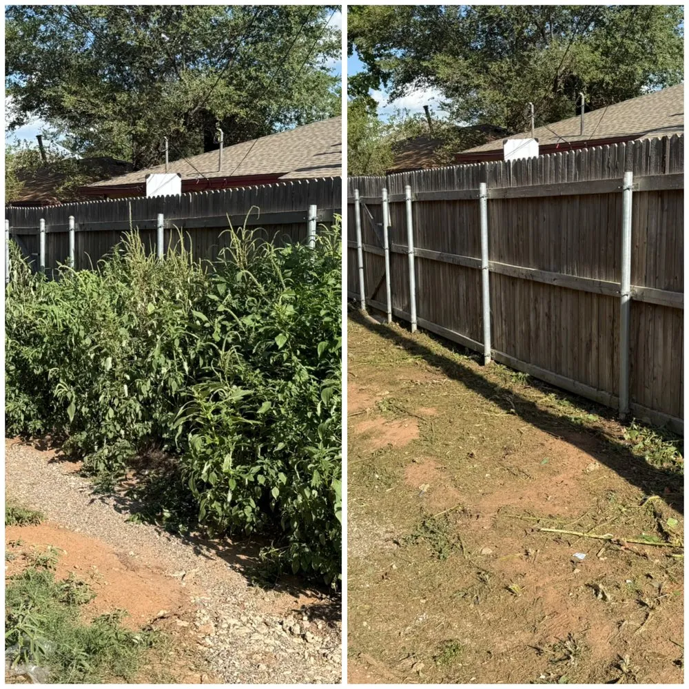 Professional landscaping services for year-round maintenance across Lubbock, TX - OnlyMow