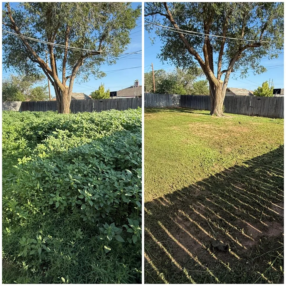 Professional garden landscaping experts serving Lubbock, TX - OnlyMow