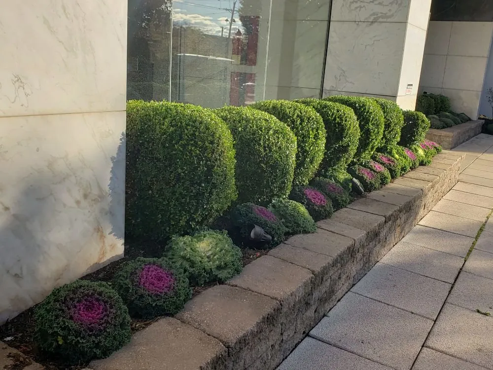 Trusted lawn mowing service in Cliffside Park, NJ - Onorato Landscaping