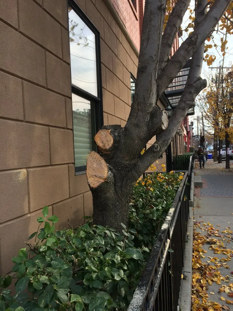 Custom landscape design with custom design across Cliffside Park, NJ - Onorato Landscaping