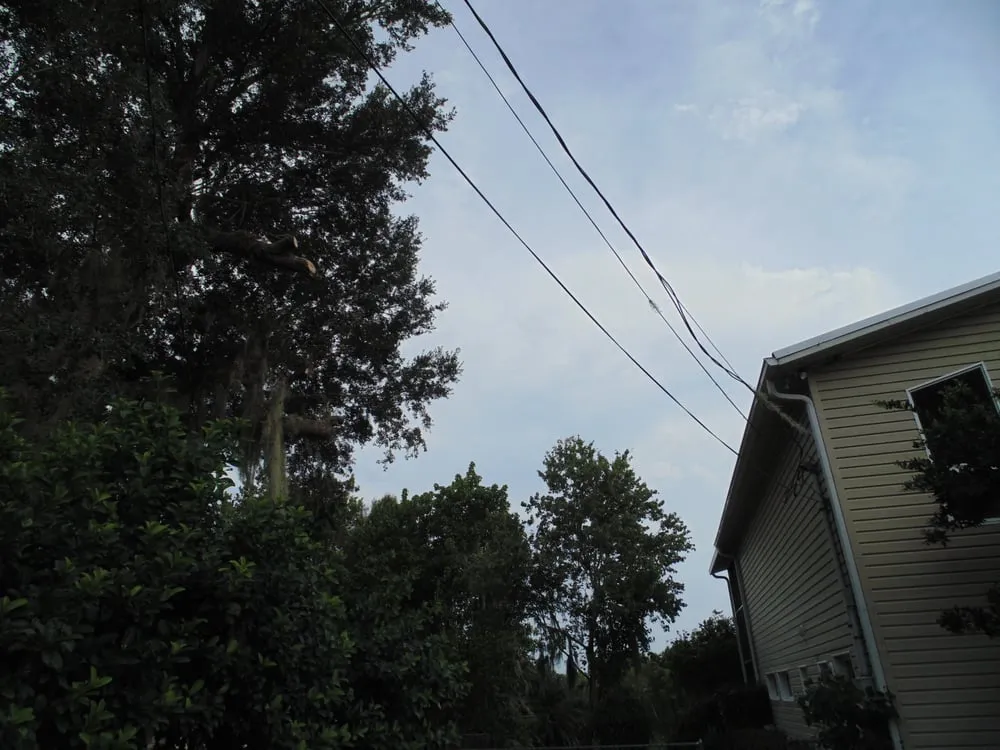 Trusted landscaping services for year-round maintenance in Deltona, FL by Onpoint Lawn and Tree Service