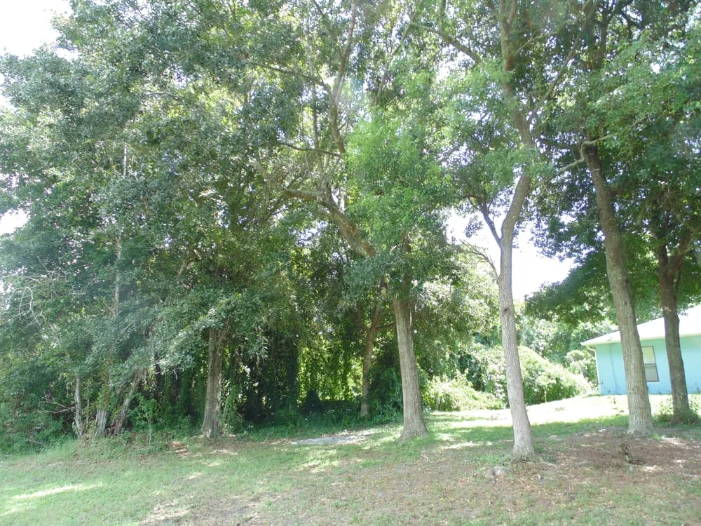 Professional lawn mowing service in Deltona, FL - Onpoint Lawn and Tree Service