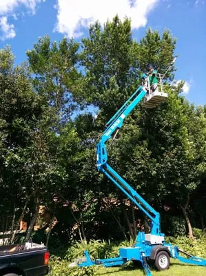 Onpoint Lawn and Tree Service Logo