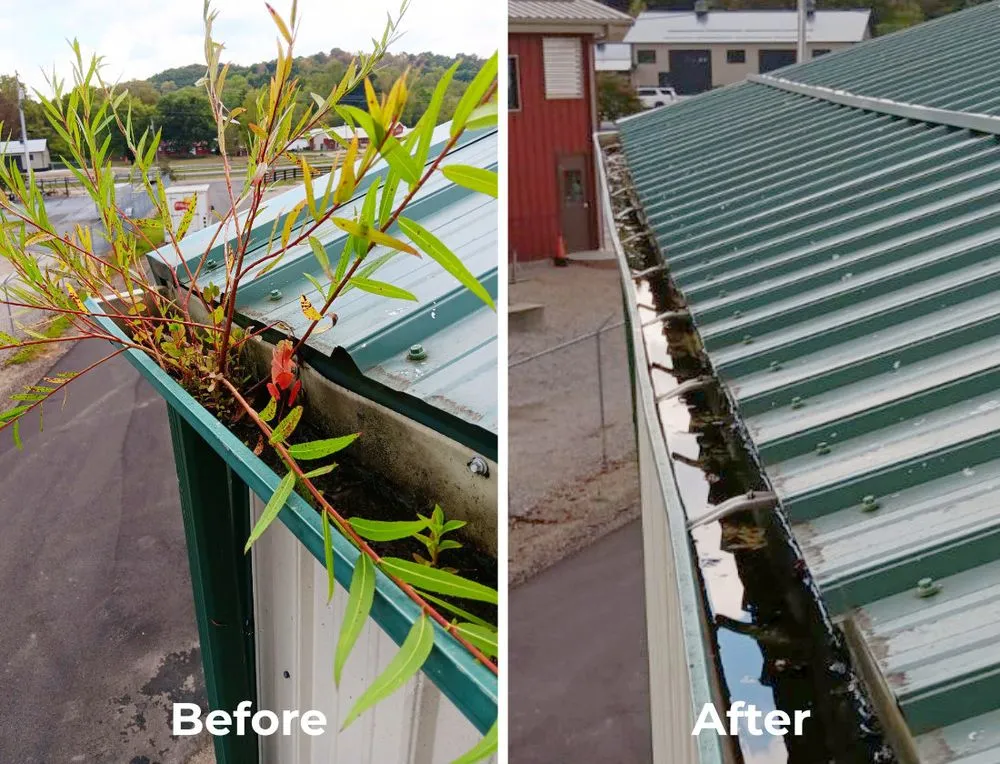 Trusted landscape design for year-round maintenance in The Plains, OH by OnSite 220