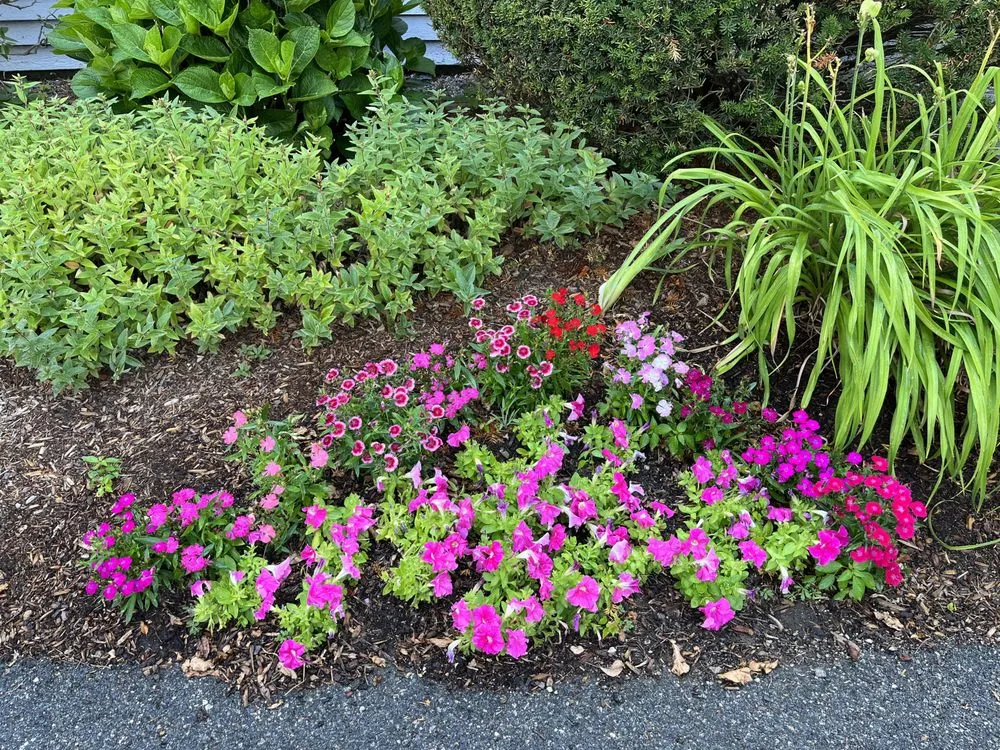 Trusted outdoor landscaping in Lynnfield, MA by Onsite Company