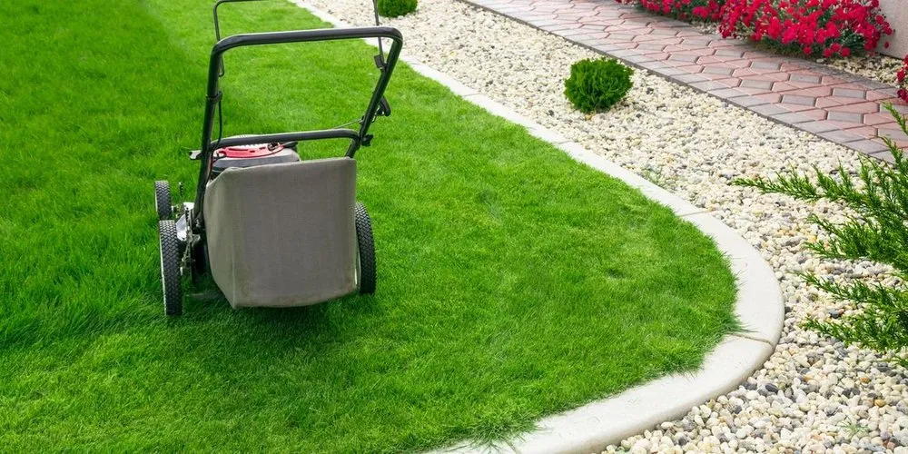 Expert yard cleanup service in Denver, CO by OnSite Lawn Services