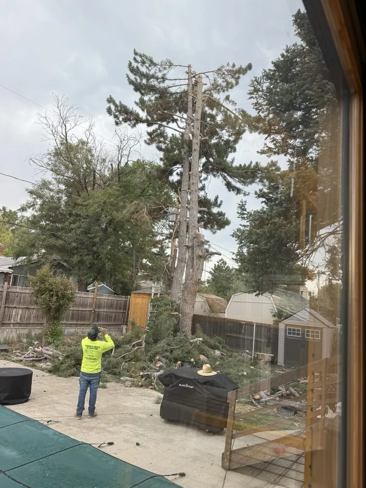 Top-rated yard maintenance experts serving Northglenn, CO - OnSite Property Maintenance