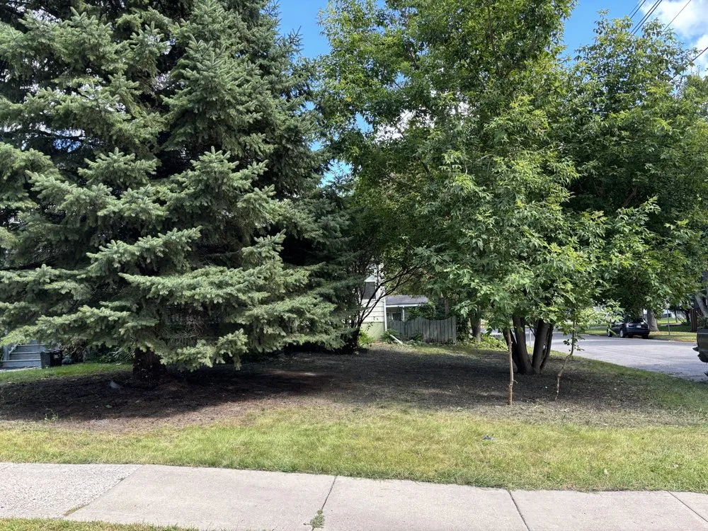 Trusted yard cleanup service experts serving Fargo, ND - Onsite Property Services