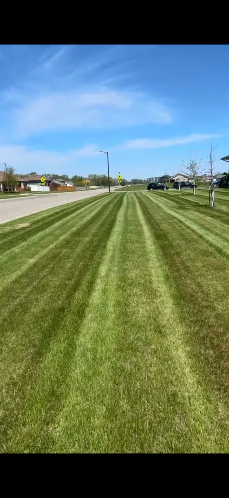 Trusted yard maintenance experts serving Fargo, ND - Onsite Property Services