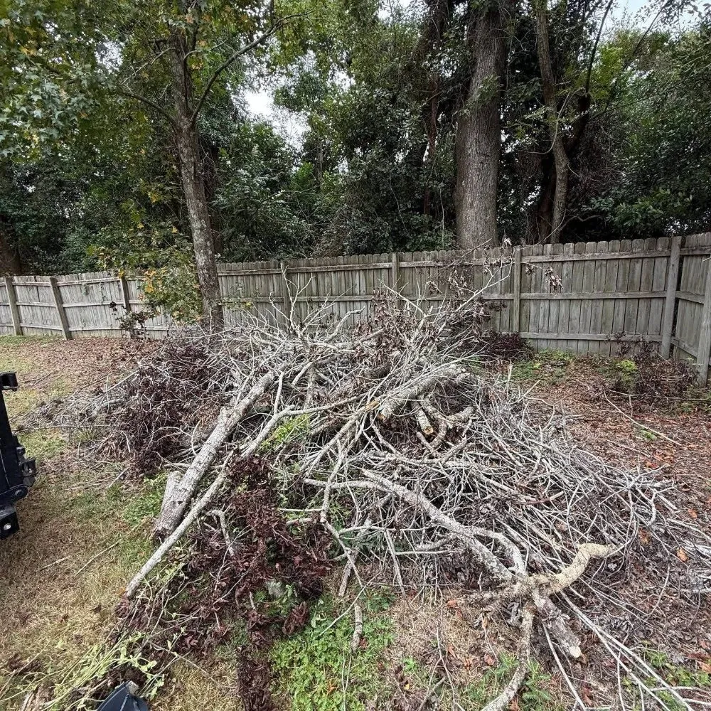 Professional landscape installation in statesboro, GA by Onstar Landscaping