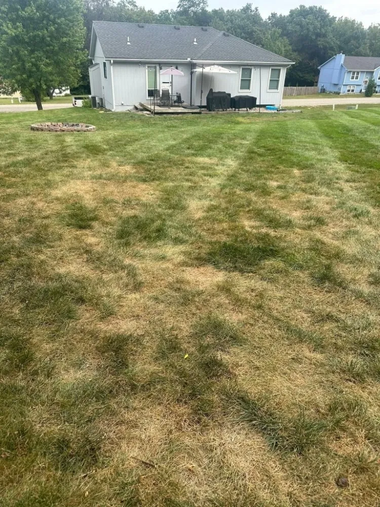 Expert yard maintenance for homes in statesboro, GA by Onstar Landscaping