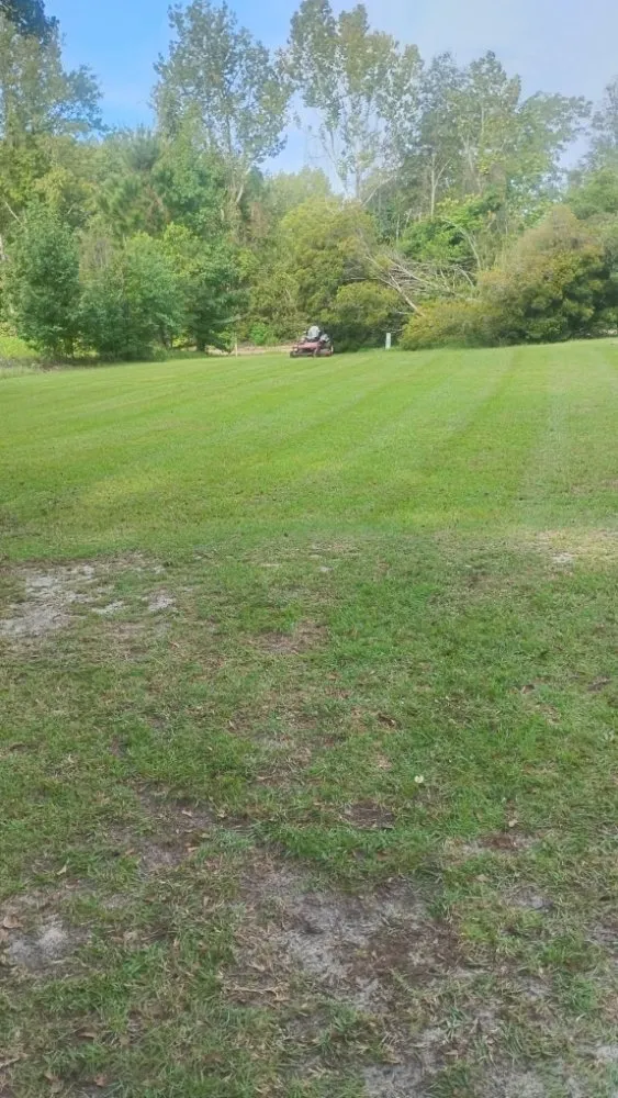 Expert yard cleanup service experts serving statesboro, GA - Onstar Landscaping