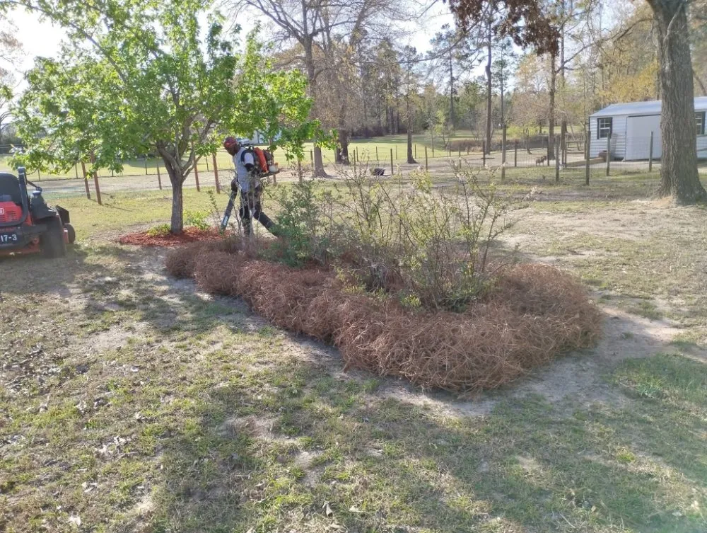 Local yard maintenance experts serving statesboro, GA - Onstar Landscaping