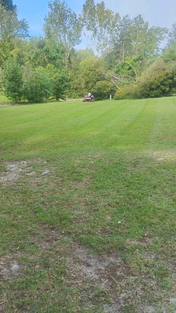 Top-rated landscape installation experts serving statesboro, GA - Onstar Landscaping