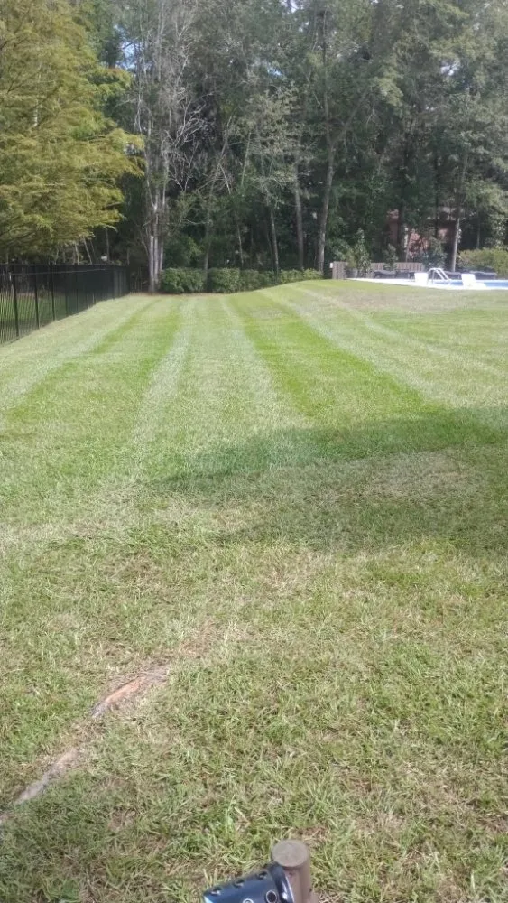 Top-rated landscape design experts serving statesboro, GA - Onstar Landscaping