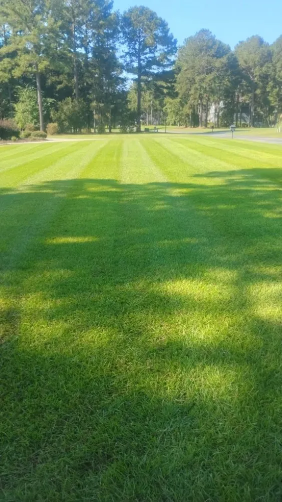 Professional residential landscaping in statesboro, GA - Onstar Landscaping