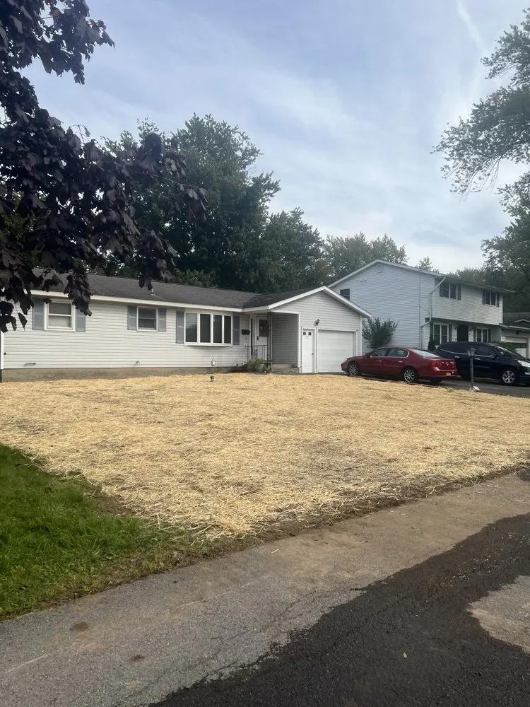 Professional lawn care service near you in Oswego, NY by Ontario Landscapes