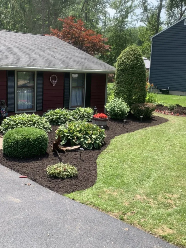 Affordable yard cleanup service in Oswego, NY - Ontario Landscapes