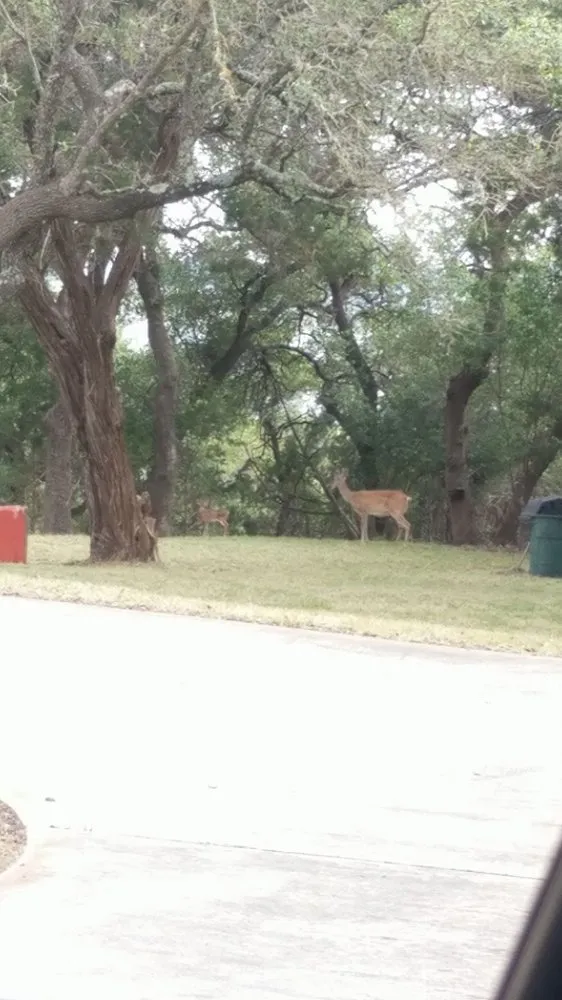 Reliable lawn care service in Temple, TX by OnTime