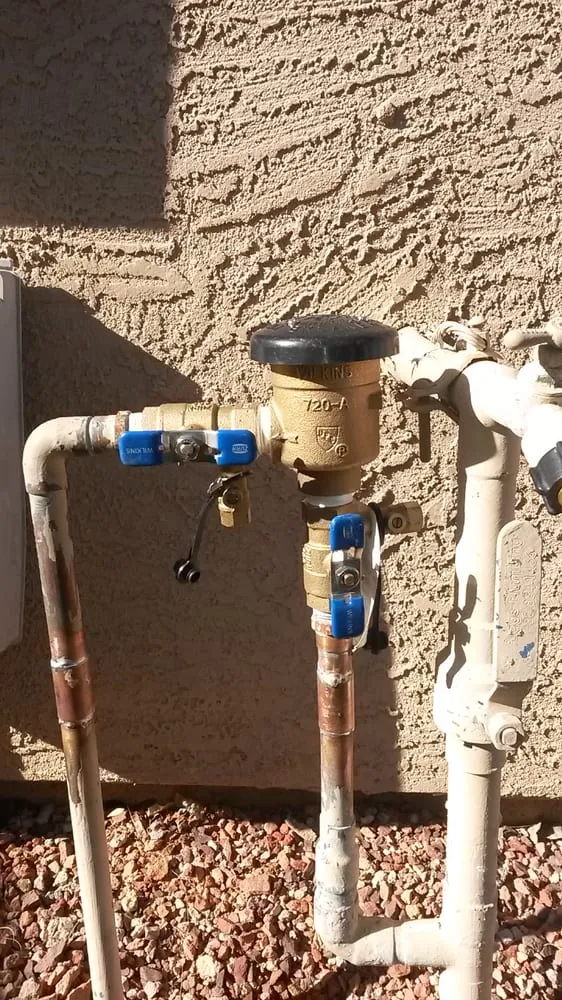 Expert yard cleanup service experts serving Phoenix, AZ - Ontiveros Curb and Landscape