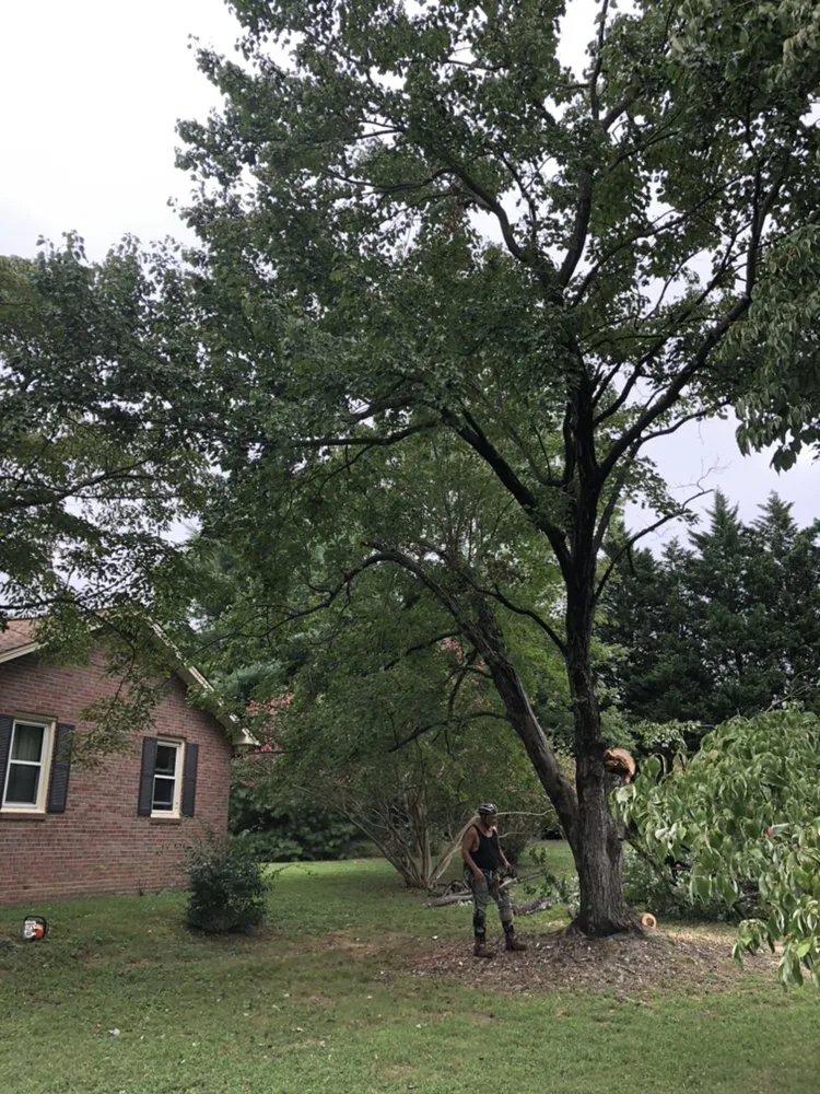 Local residential landscaping in Alexandria, VA - Ontrack Landscape