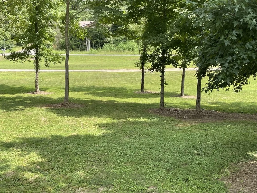 Reliable landscape design experts serving Hot Springs, AR - Onward & Upward Services