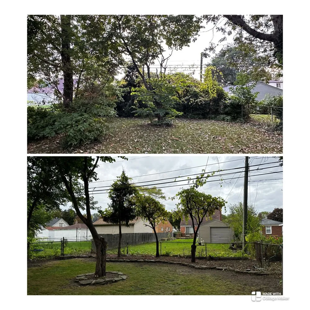 Reliable lawn mowing service experts serving Romulus, MI - Onyx Landscape