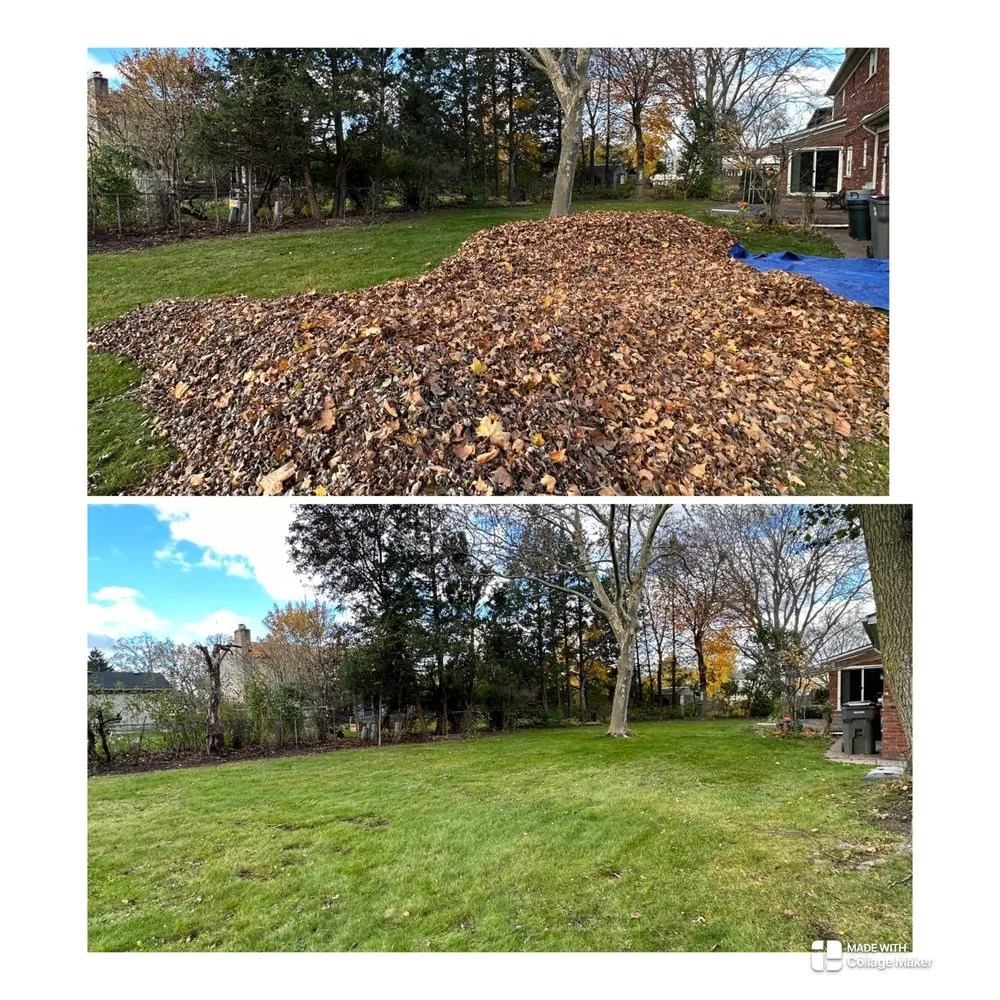 Trusted outdoor landscaping experts serving Romulus, MI - Onyx Landscape