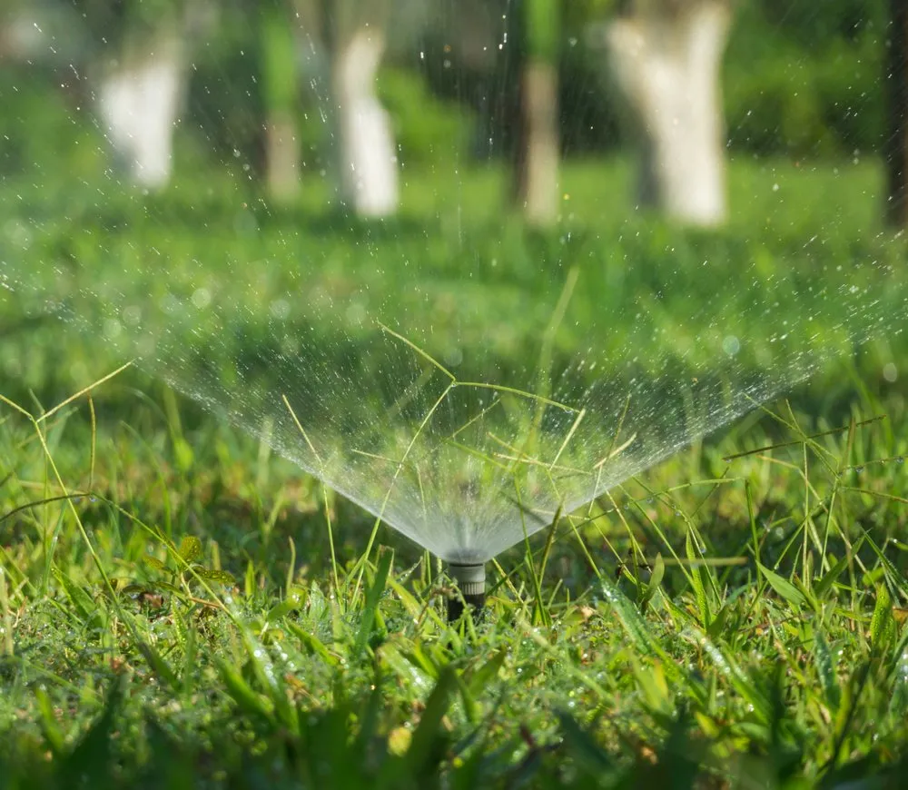 Reliable landscape design in Harrisville, UT by Onyx Lawn Care