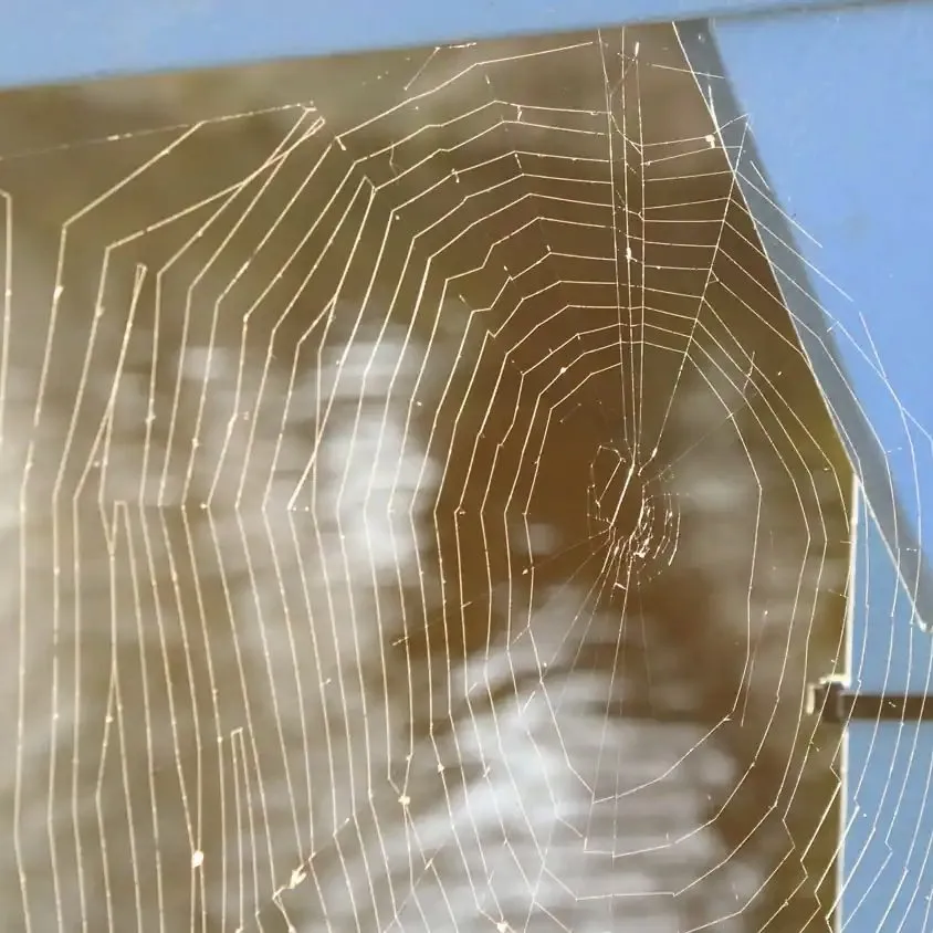 Top-rated lawn care service with custom design across Richland, WA - Onyx Pest Control