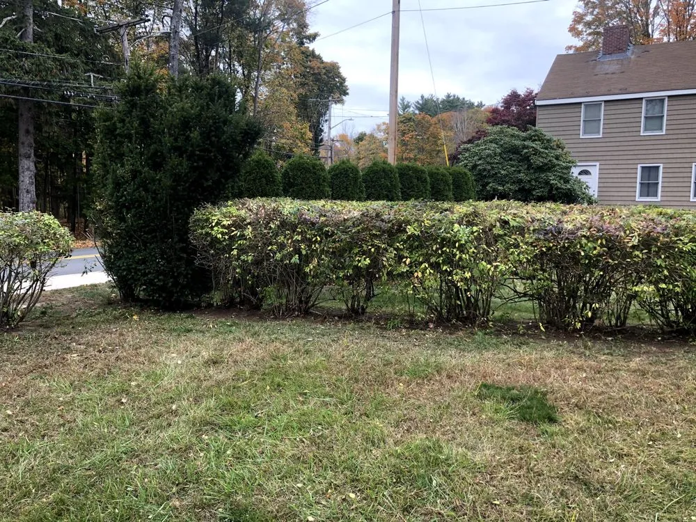 Reliable yard maintenance for year-round maintenance in Salem, MA by O&P Landscapes