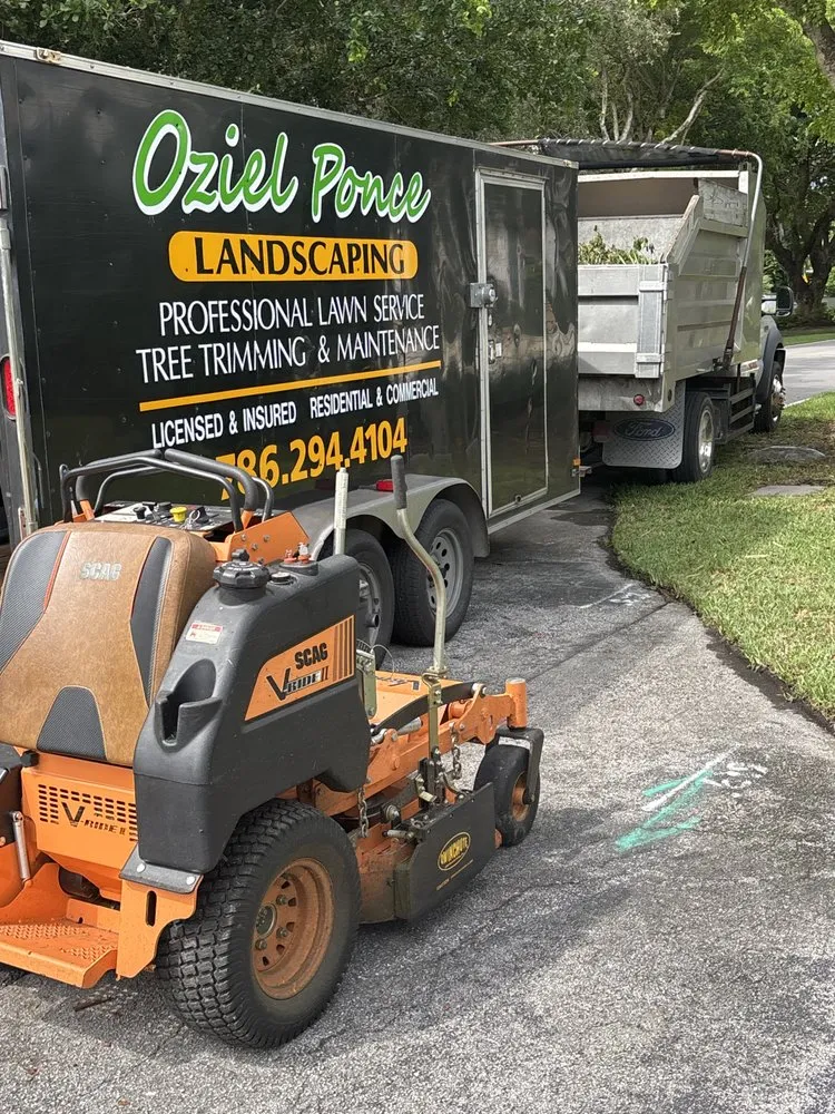 Reliable lawn mowing service for year-round maintenance in Quail Heights, FL by OP  Landscaping