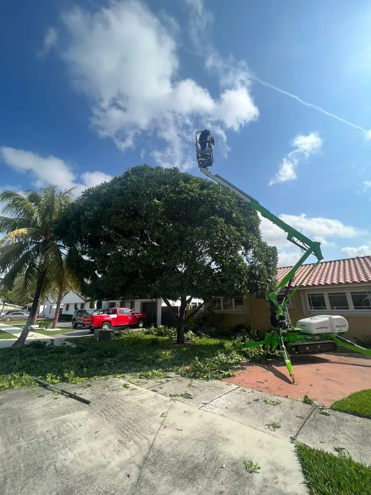 Trusted landscape installation for beautiful yards across Quail Heights, FL - OP  Landscaping