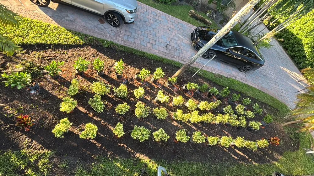 Local lawn mowing service in Quail Heights, FL by OP  Landscaping