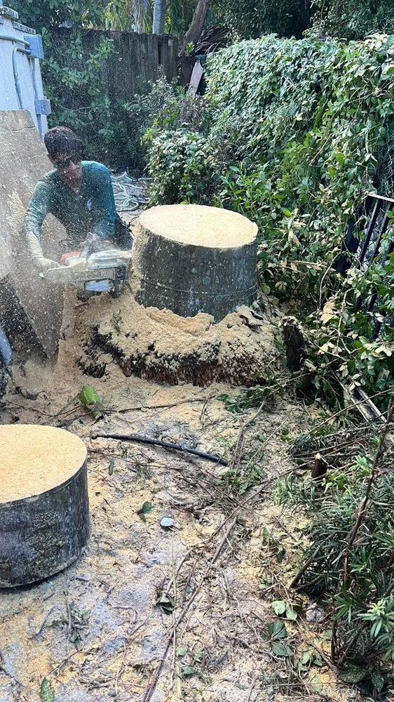 Expert yard cleanup service for year-round maintenance across Quail Heights, FL - OP  Landscaping