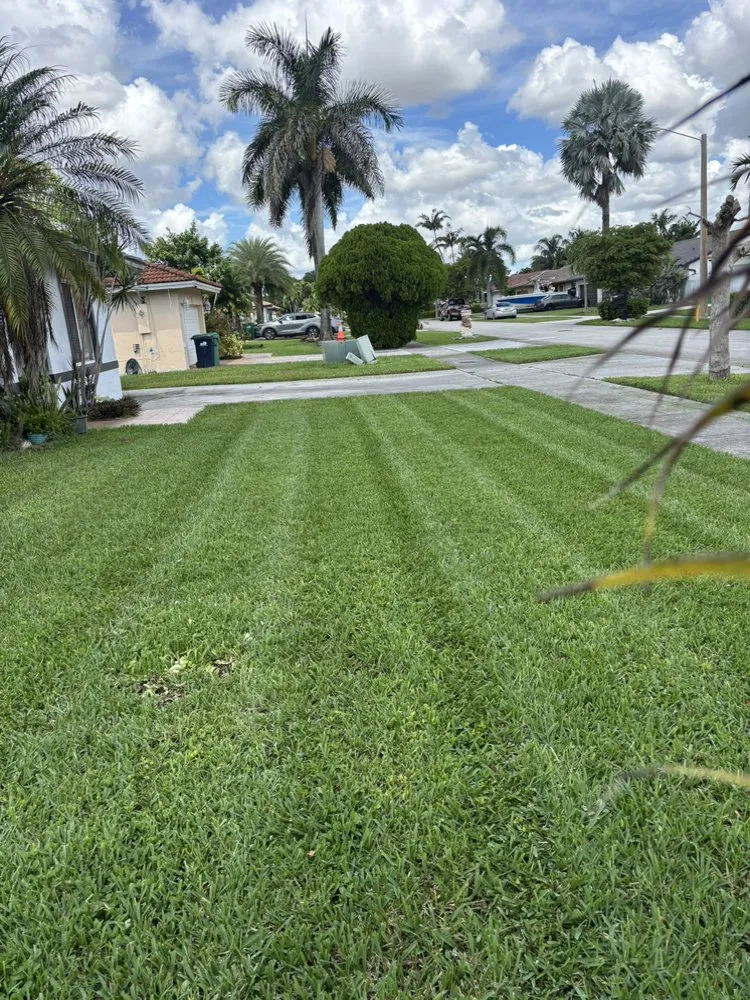 Professional landscape design for year-round maintenance across Quail Heights, FL - OP  Landscaping