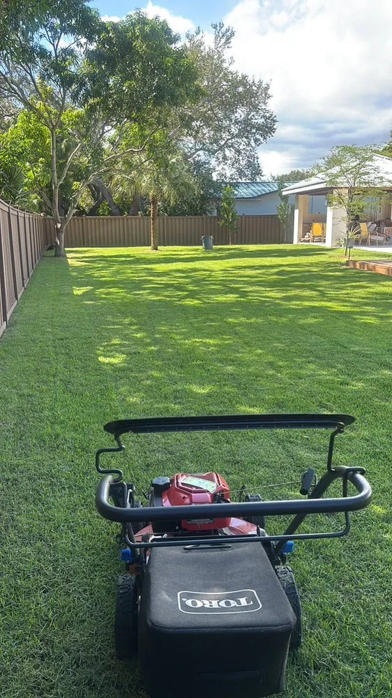 Local landscaping services for year-round maintenance in Quail Heights, FL by OP  Landscaping