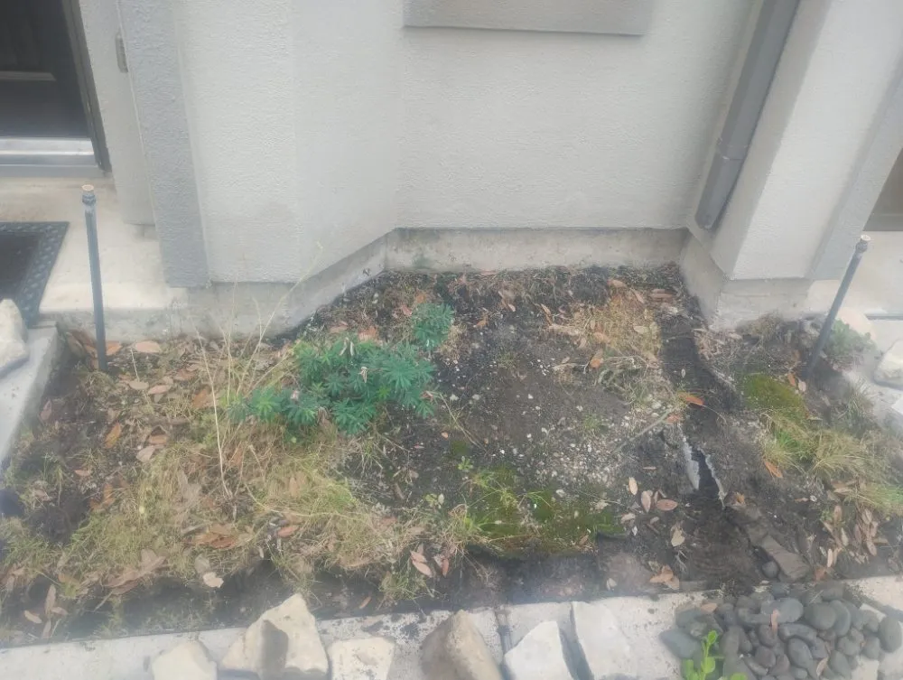 Custom residential landscaping in Humble, TX by Opal Green Landscaping