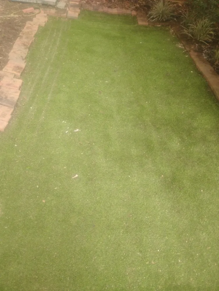 Reliable landscape installation in Humble, TX - Opal Green Landscaping