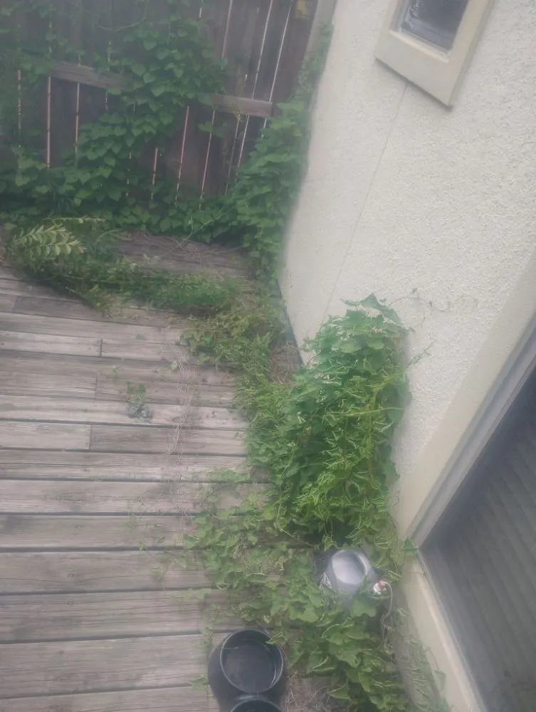 Professional outdoor landscaping experts serving Humble, TX - Opal Green Landscaping