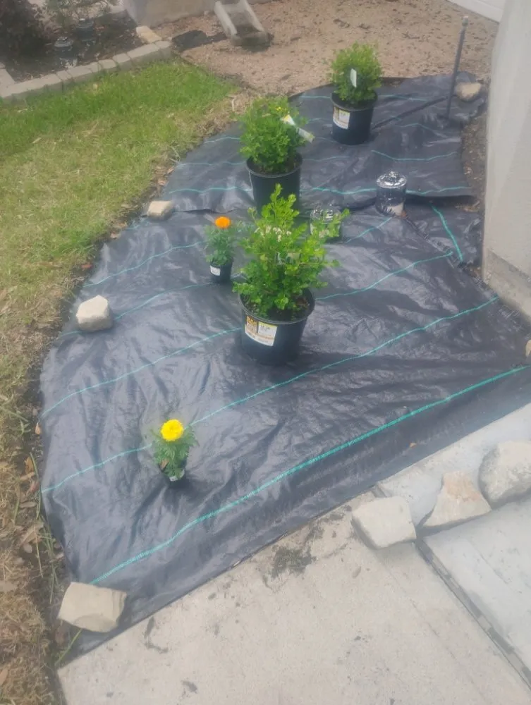 Expert outdoor landscaping in Humble, TX - Opal Green Landscaping