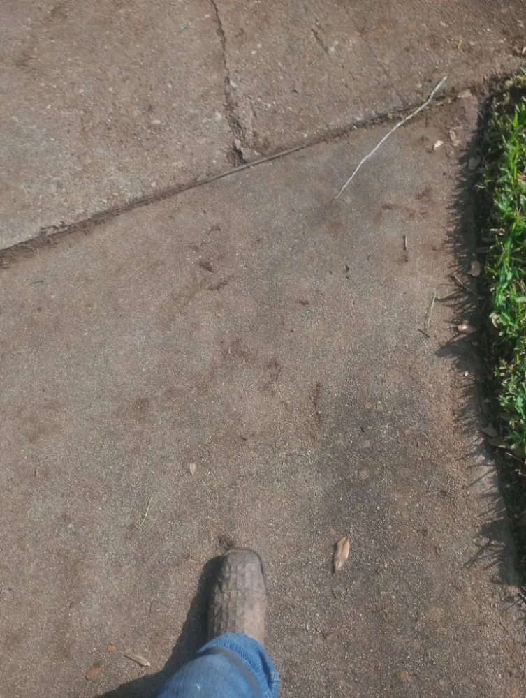 Expert landscape design near you across Humble, TX - Opal Green Landscaping