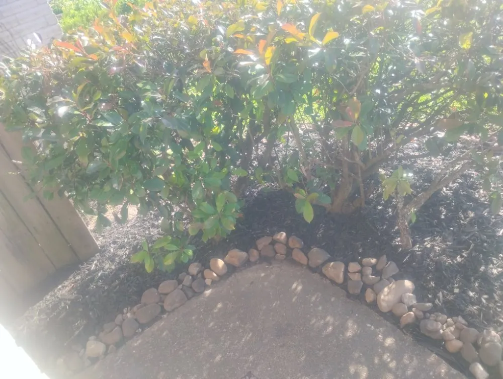 Custom yard cleanup service for year-round maintenance in Humble, TX by Opal Green Landscaping